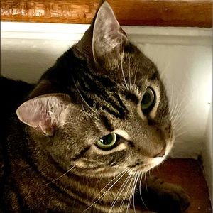 Meet your Posher, Corinne